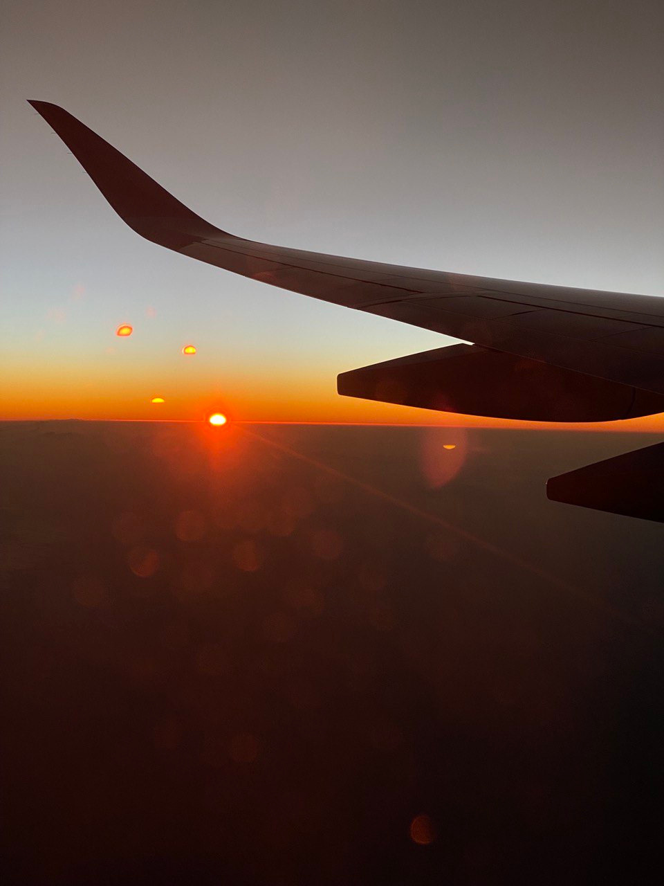 Распродажа курса: «Мобильная фотография». Алла Шевченко — продюсер — наставник