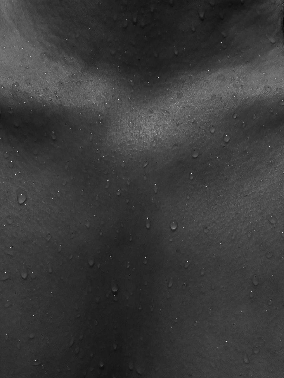 Распродажа курса: «Мобильная фотография». Алла Шевченко — продюсер — наставник