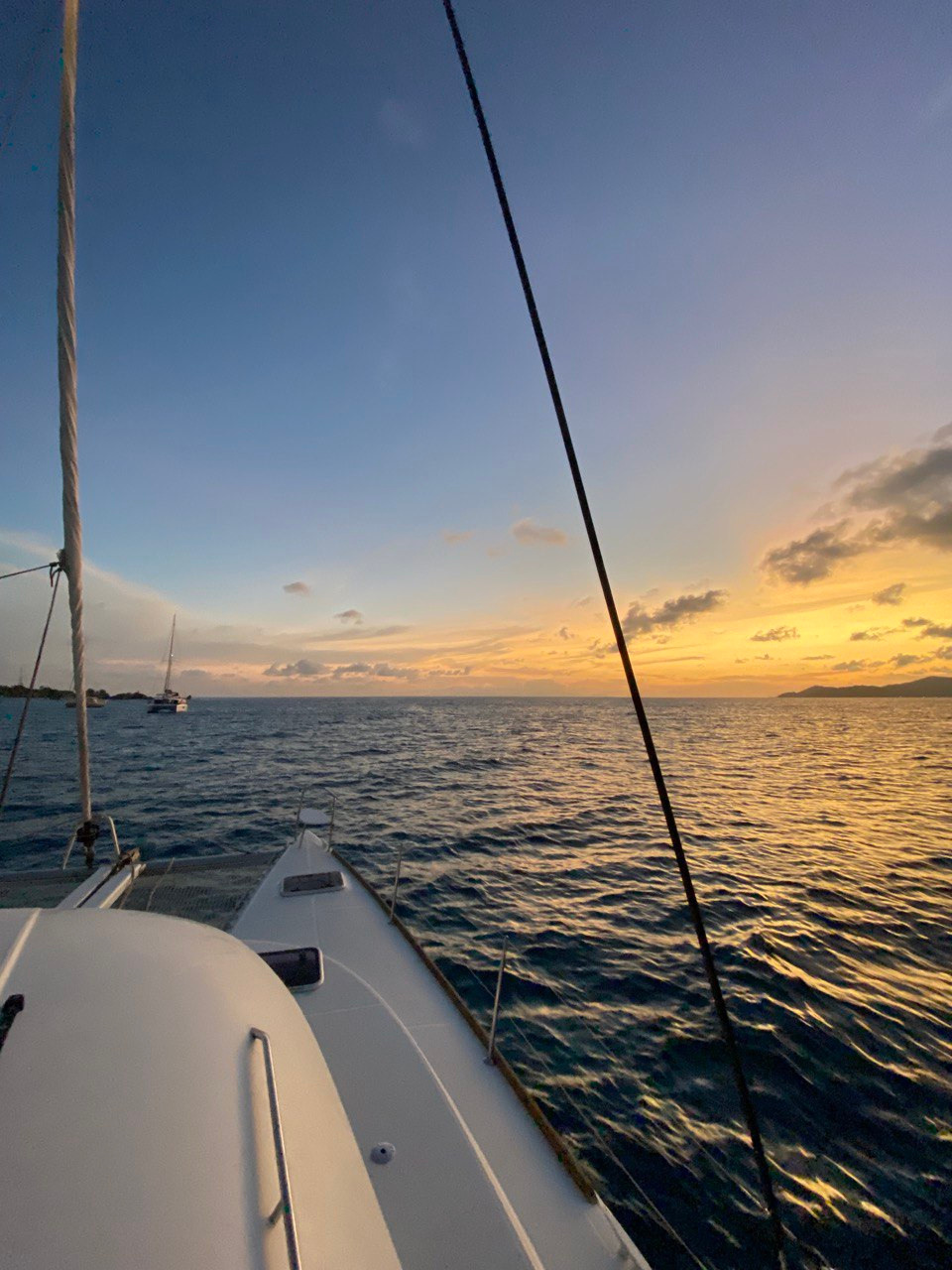 Распродажа курса: «Мобильная фотография». Алла Шевченко — продюсер — наставник