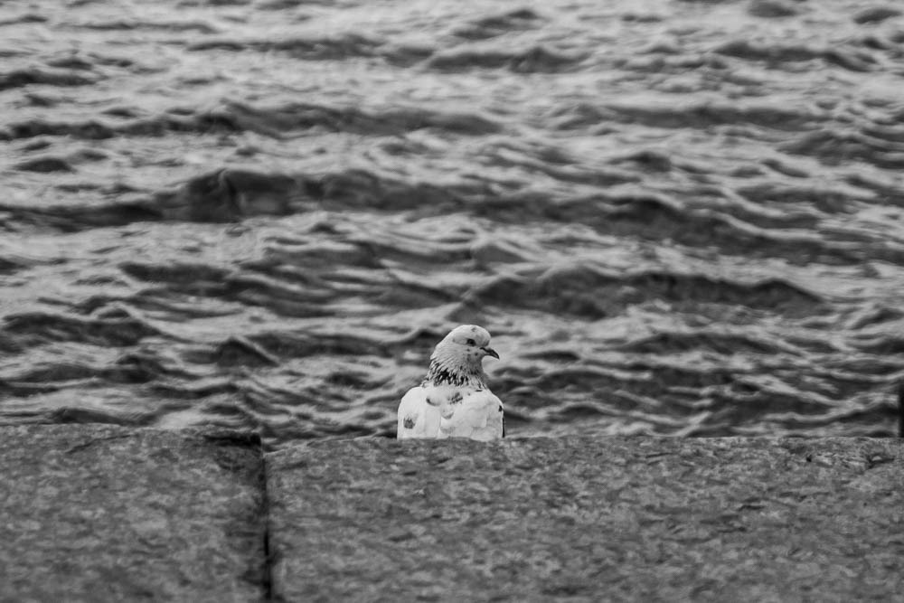 Одиночество или уединение?. Евгения Стриженова — репортажный фотограф в Санкт-Петербурге