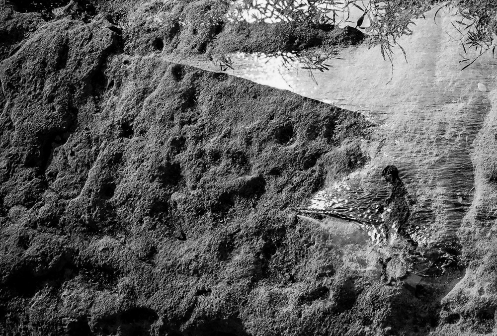 Dreamy World. Photographer, Documentary and Art