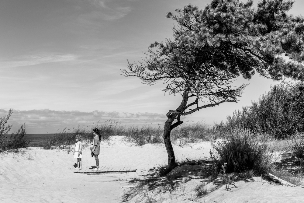 Dreamy World. Photographer, Documentary and Art