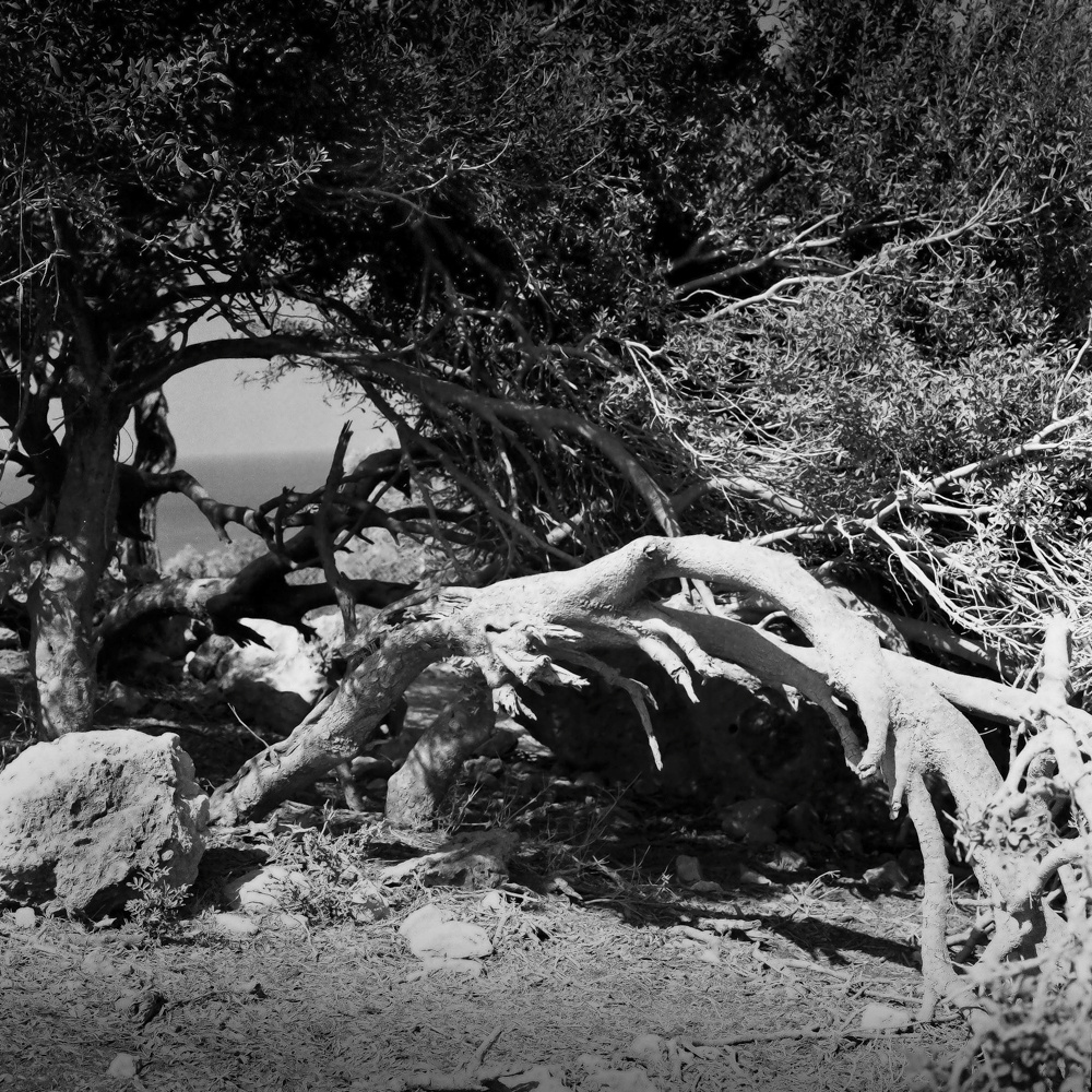 Dreamy World. Photographer, Documentary and Art