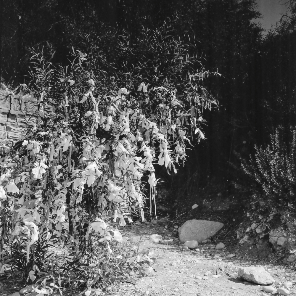 Dreamy World. Photographer, Documentary and Art