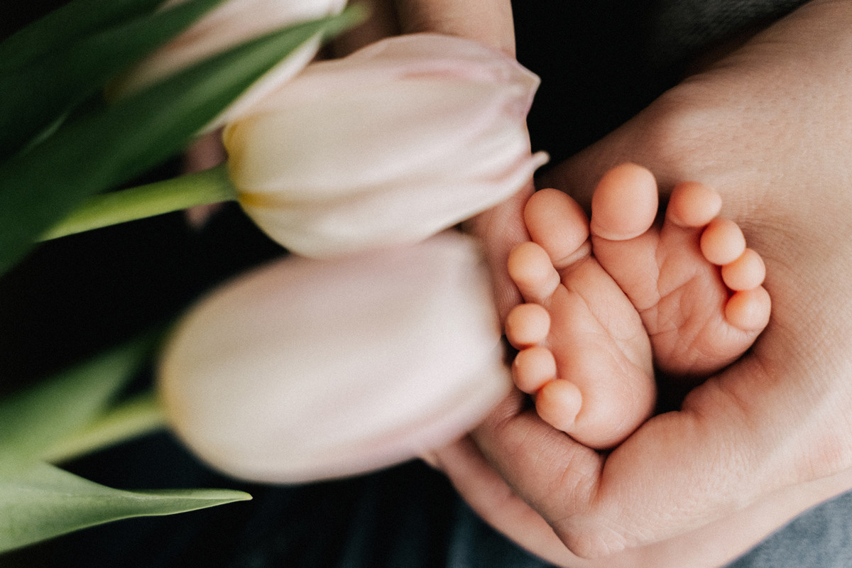 11/10/2019 Грековы и Мироша. Фотограф в Нижнем Новгороде Света Малышева