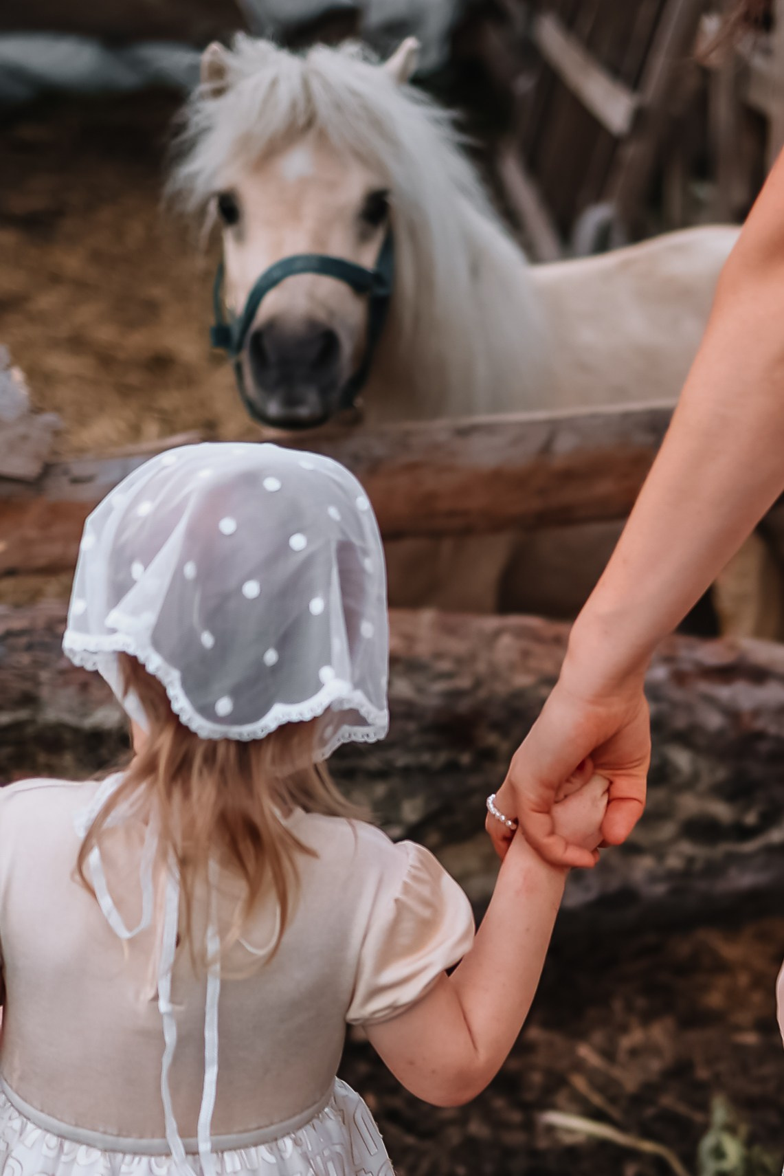 алёна малахова фотограф новосибирск семейный детский домашняя фотосессия в новосибирске день рождения репортажная съёмка фотосессия с лошадьми на конюшне деревня
