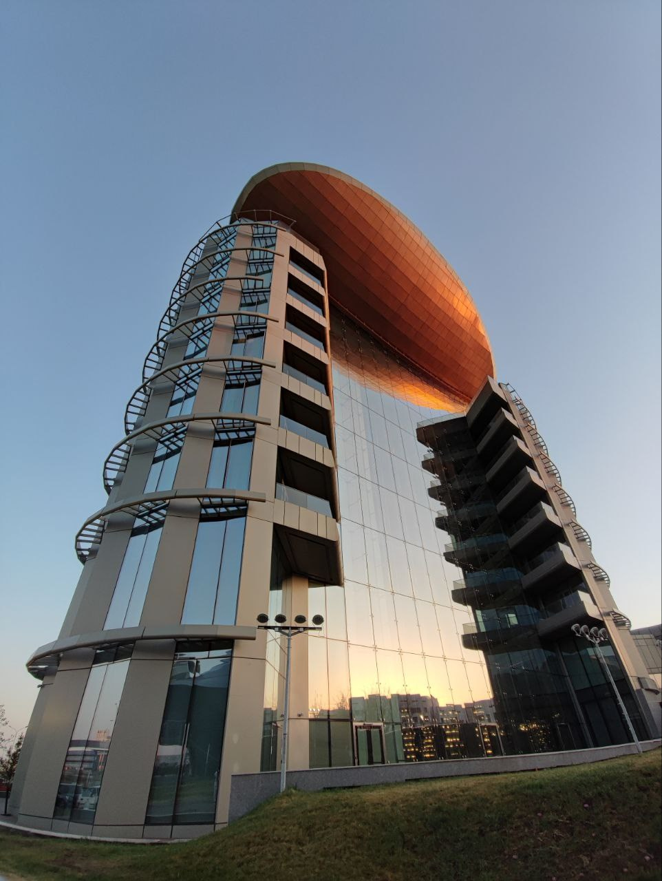 Намобилкус казахский. Репортажный фотограф Алексей Пирязев