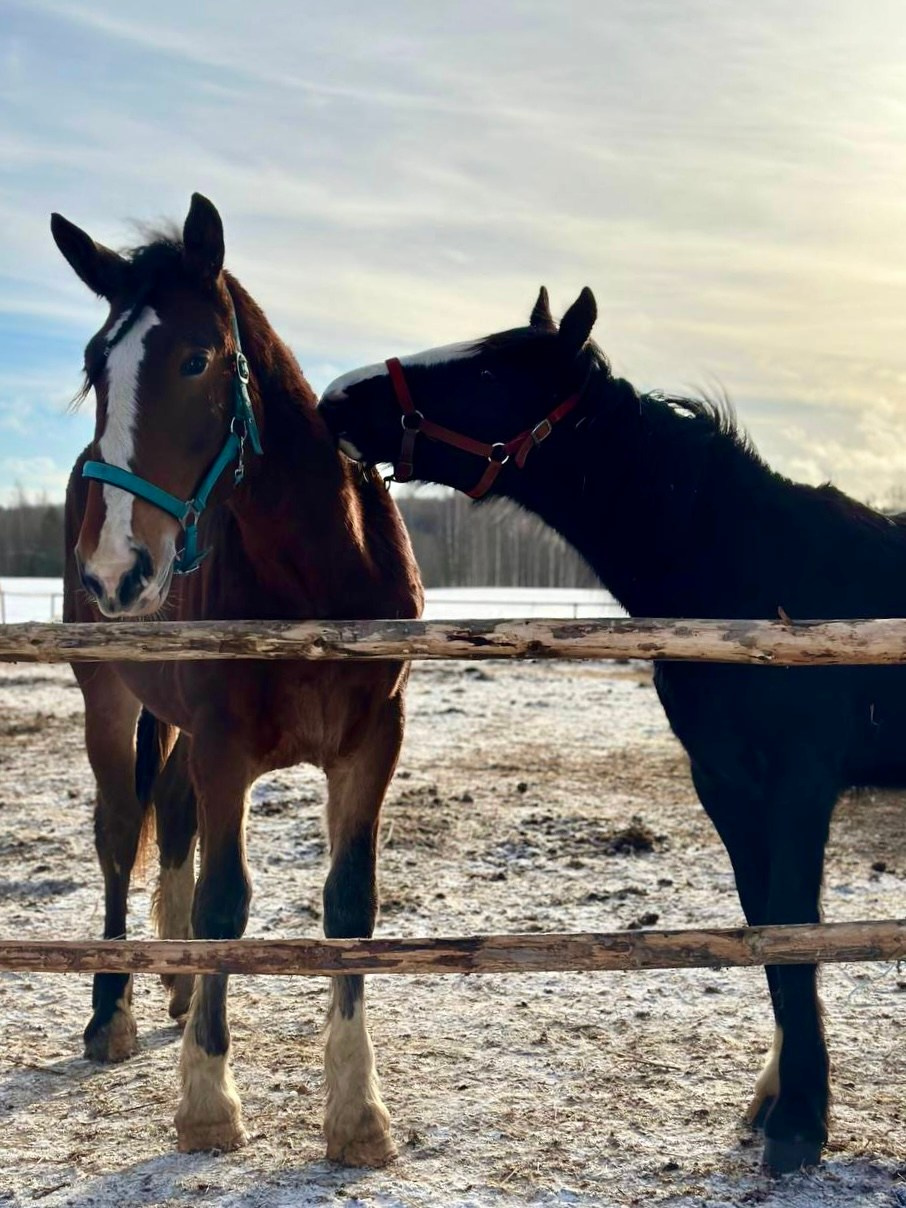 КУРС ПО ФОТО/ВИДЕО СЪЕМКЕ «СЧАСТЬЕ В ПРОСТОМ». Фотография. Визуально-чувственный мир души