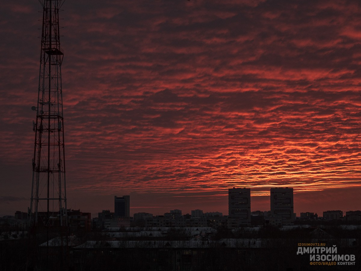 Лучшее из 2024