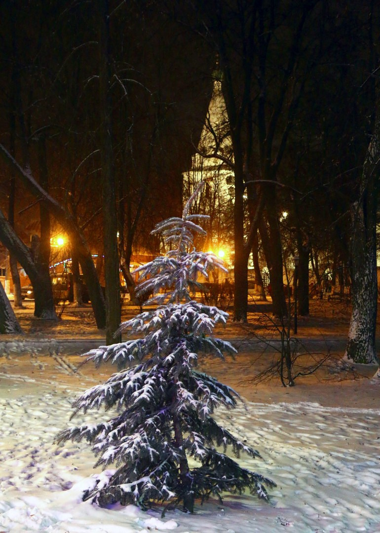 Суздаль 20 216г. Улица, люди, жизнь…