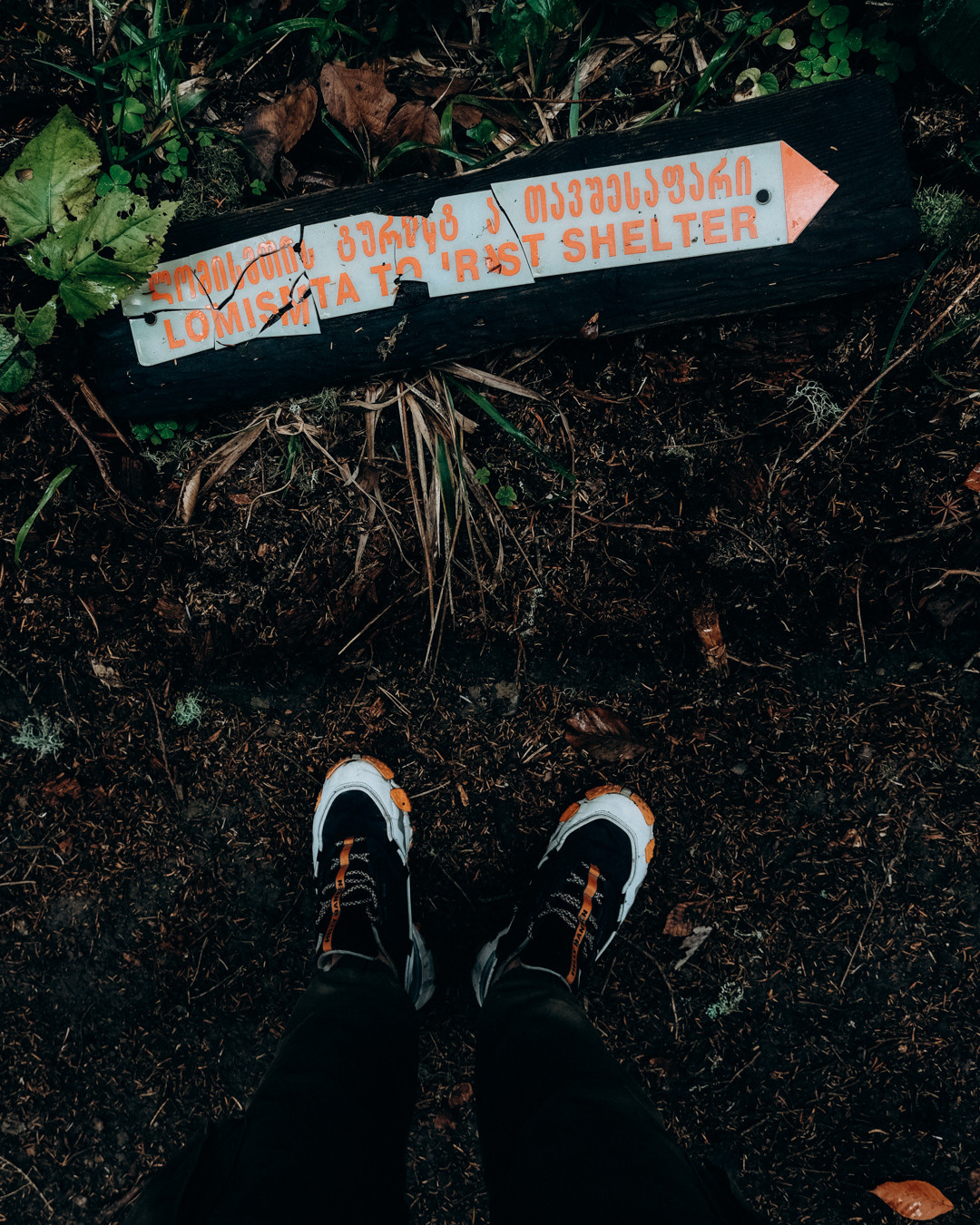 Грузия. Фотограф Дмитрий Олрайт | Калуга, Россия