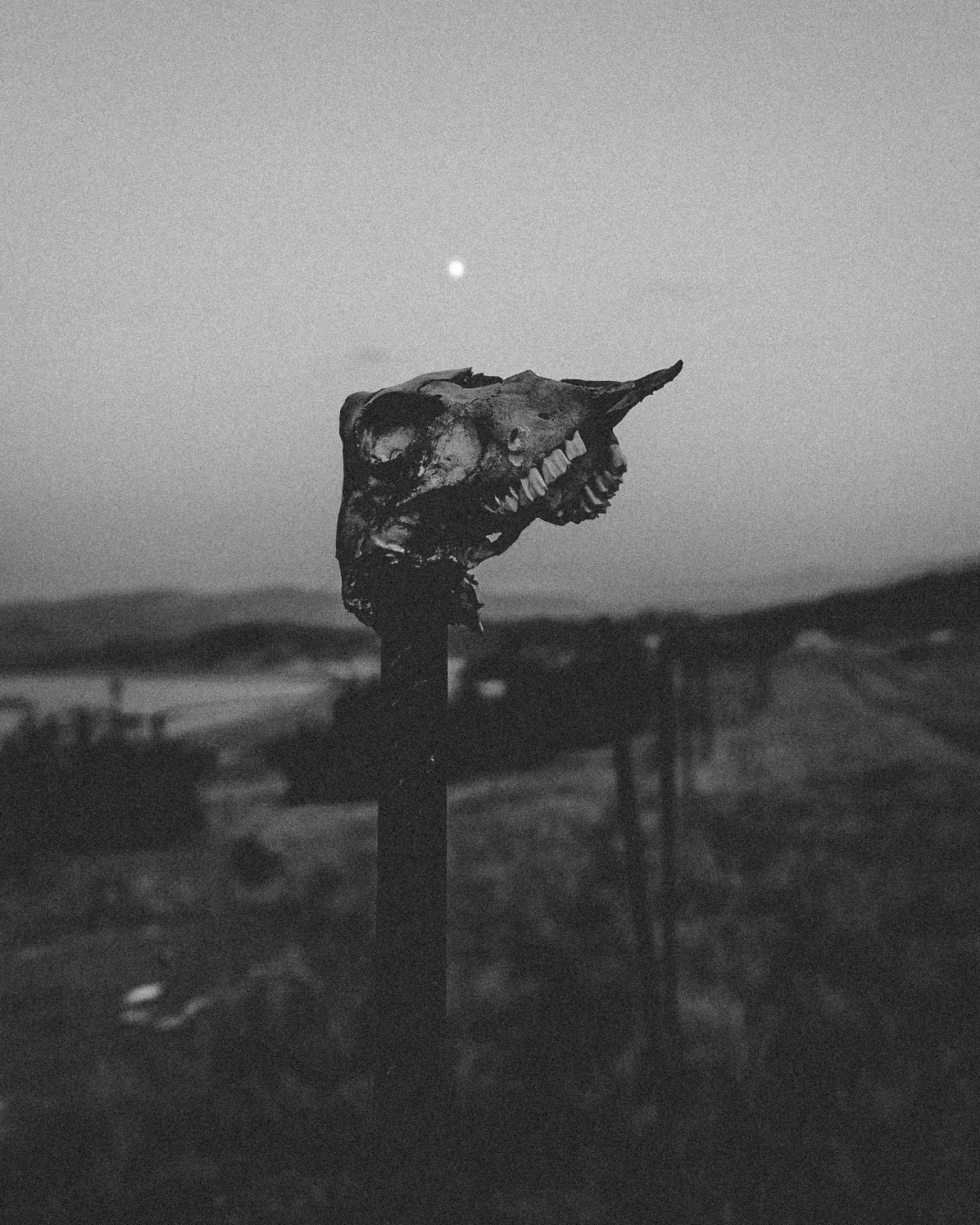 Дагестан. Фотограф Дмитрий Олрайт | Калуга, Россия