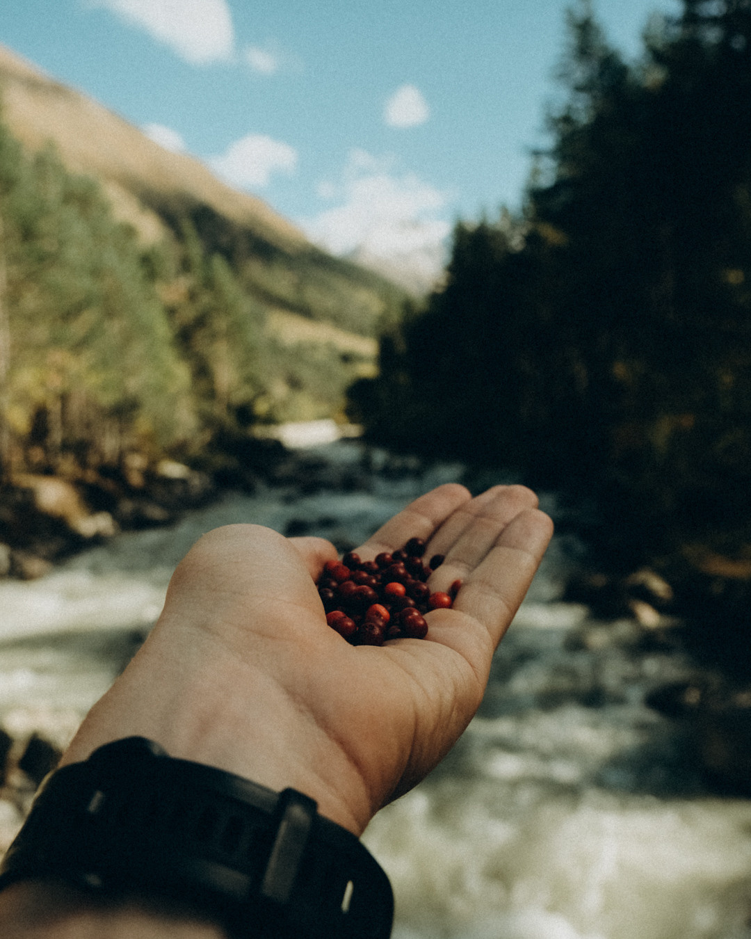 Приэльбрусье. Фотограф Дмитрий Олрайт | Калуга, Россия