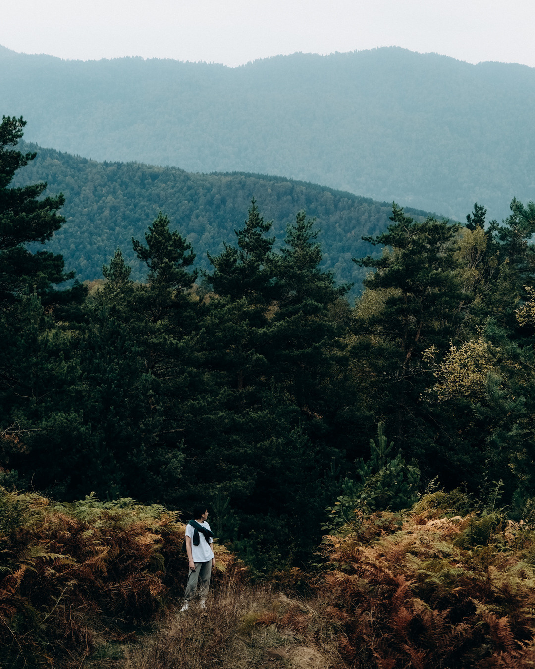 Грузия. Фотограф Дмитрий Олрайт | Калуга, Россия