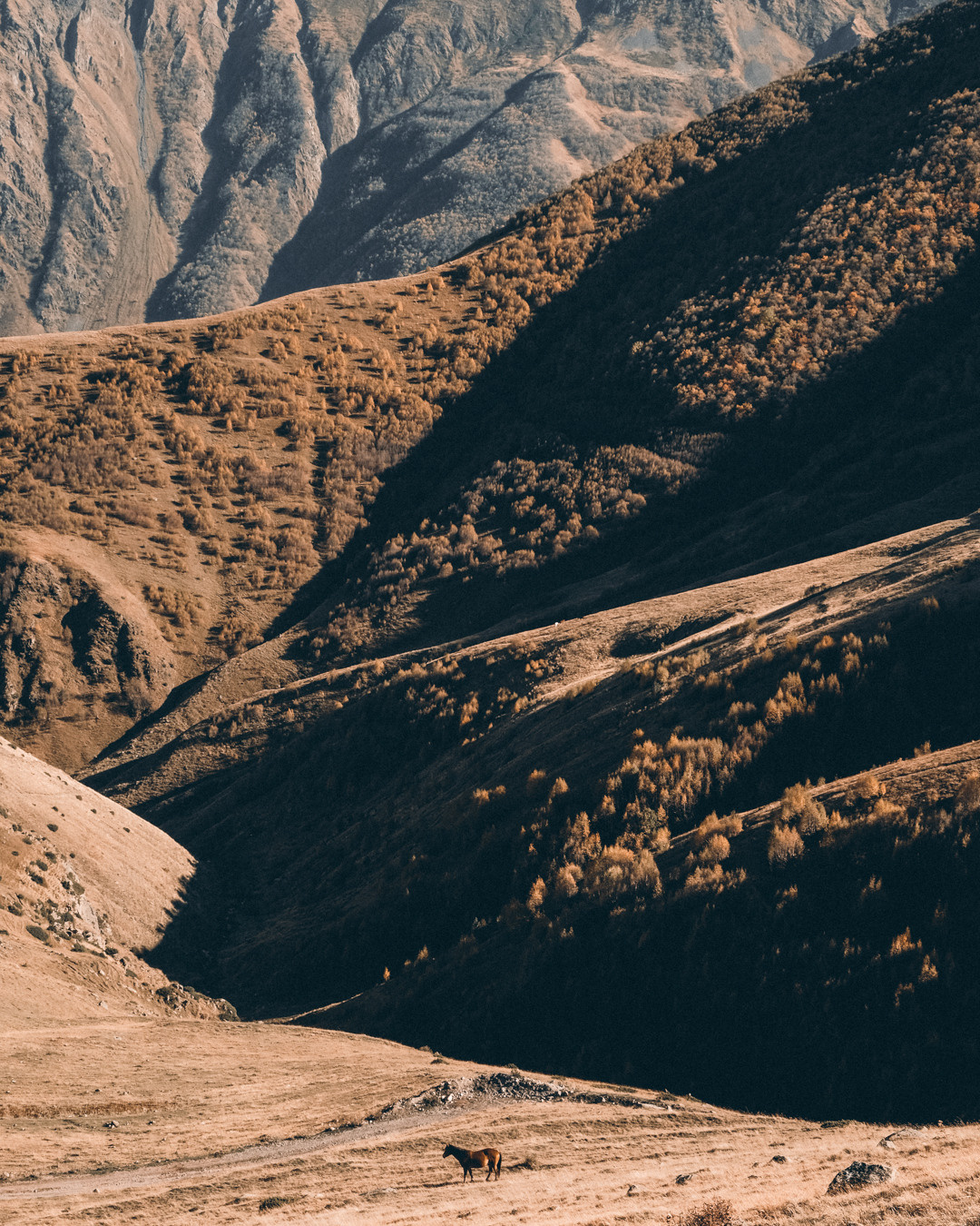 Грузия. Фотограф Дмитрий Олрайт | Калуга, Россия