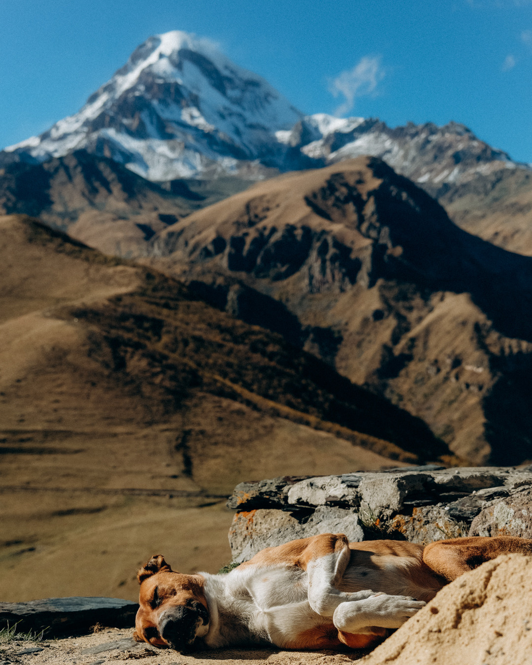 Грузия. Фотограф Дмитрий Олрайт | Калуга, Россия