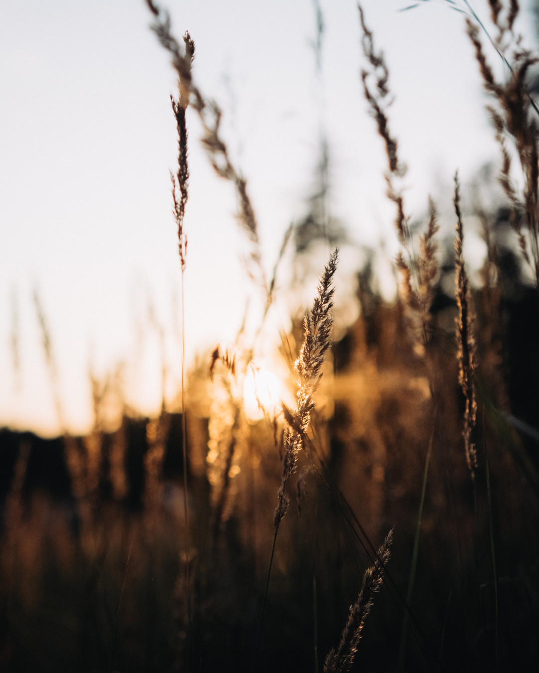 Вадим. Фотограф Дмитрий Олрайт | Калуга, Россия