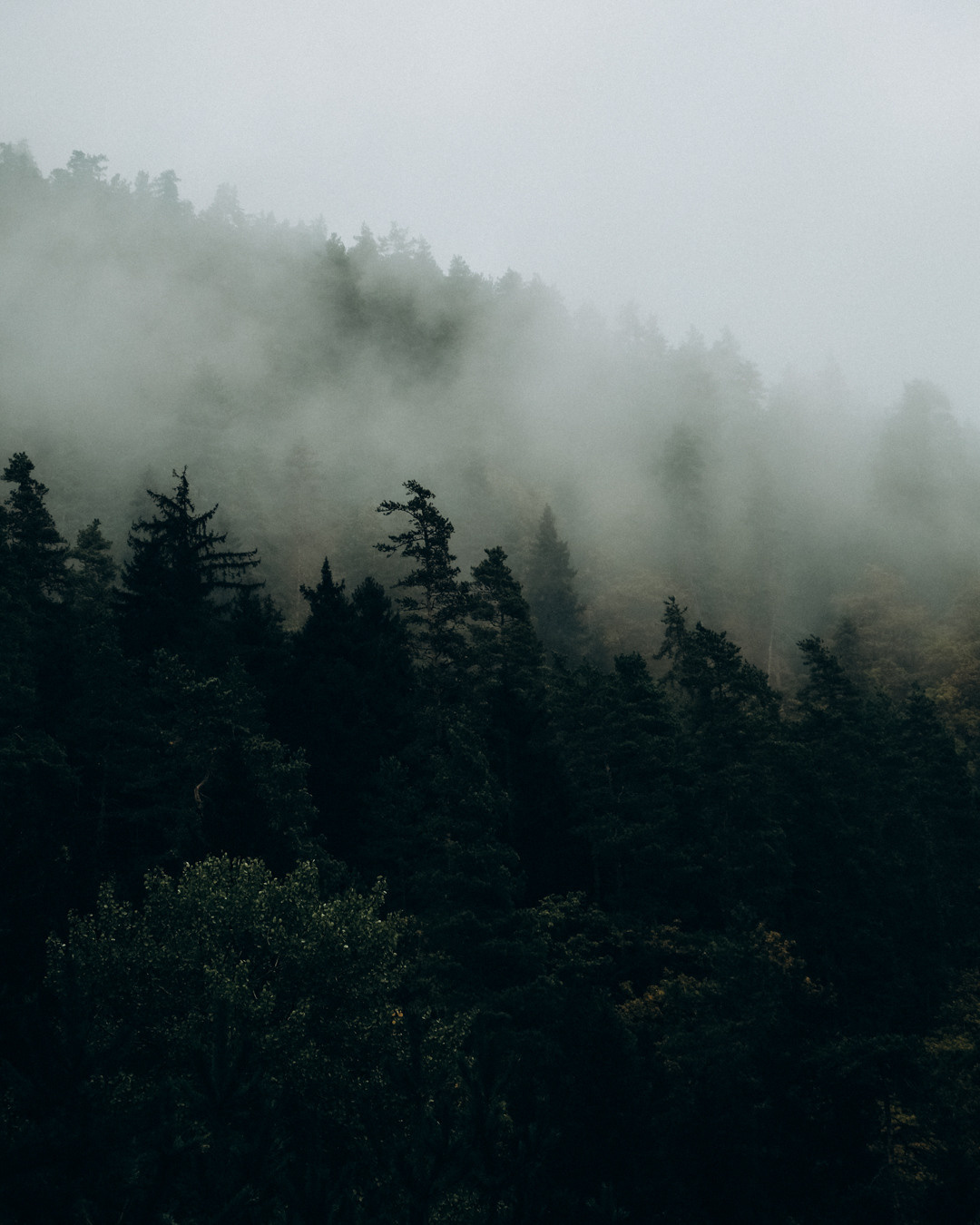 Грузия. Фотограф Дмитрий Олрайт | Калуга, Россия
