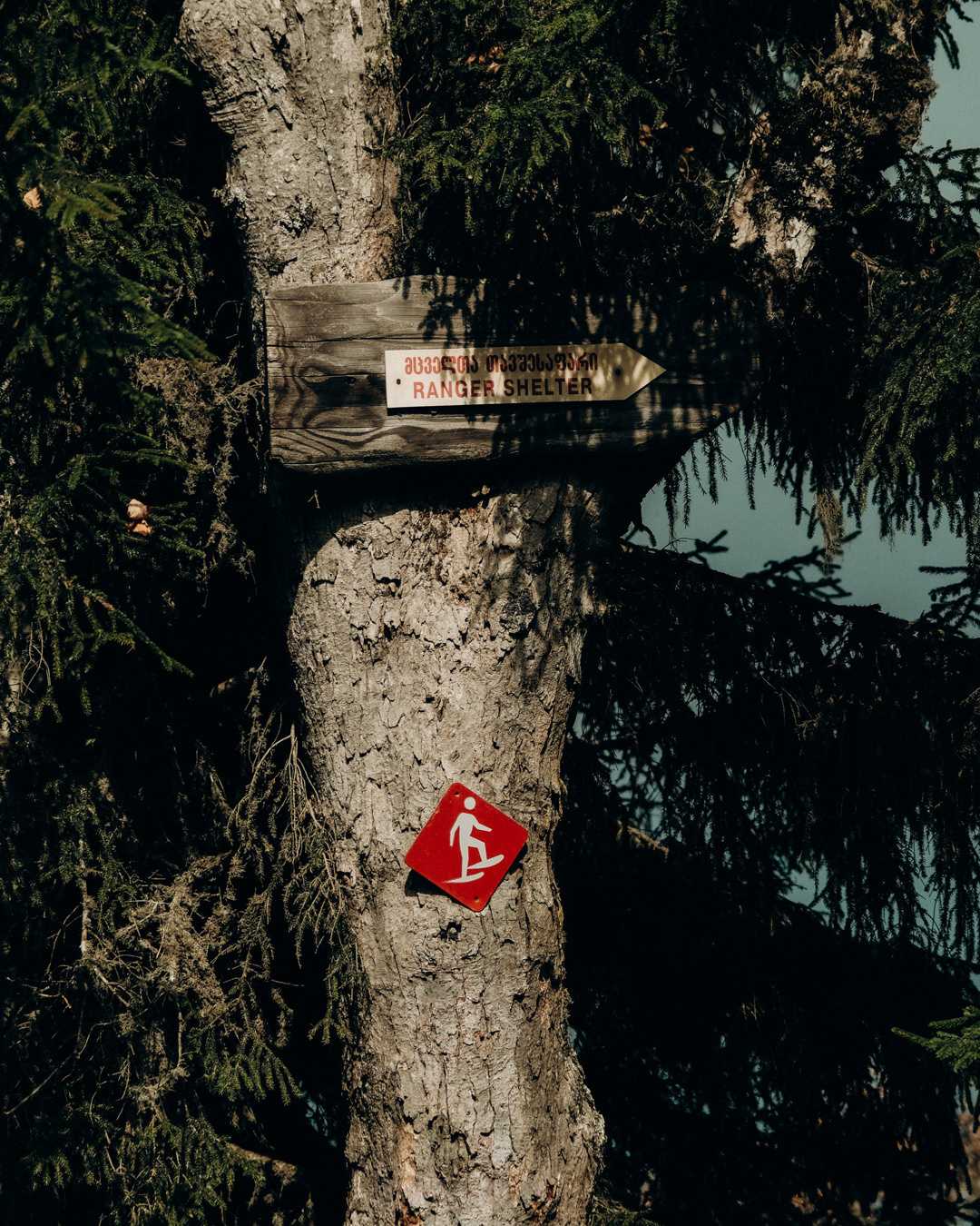 Грузия. Фотограф Дмитрий Олрайт | Калуга, Россия