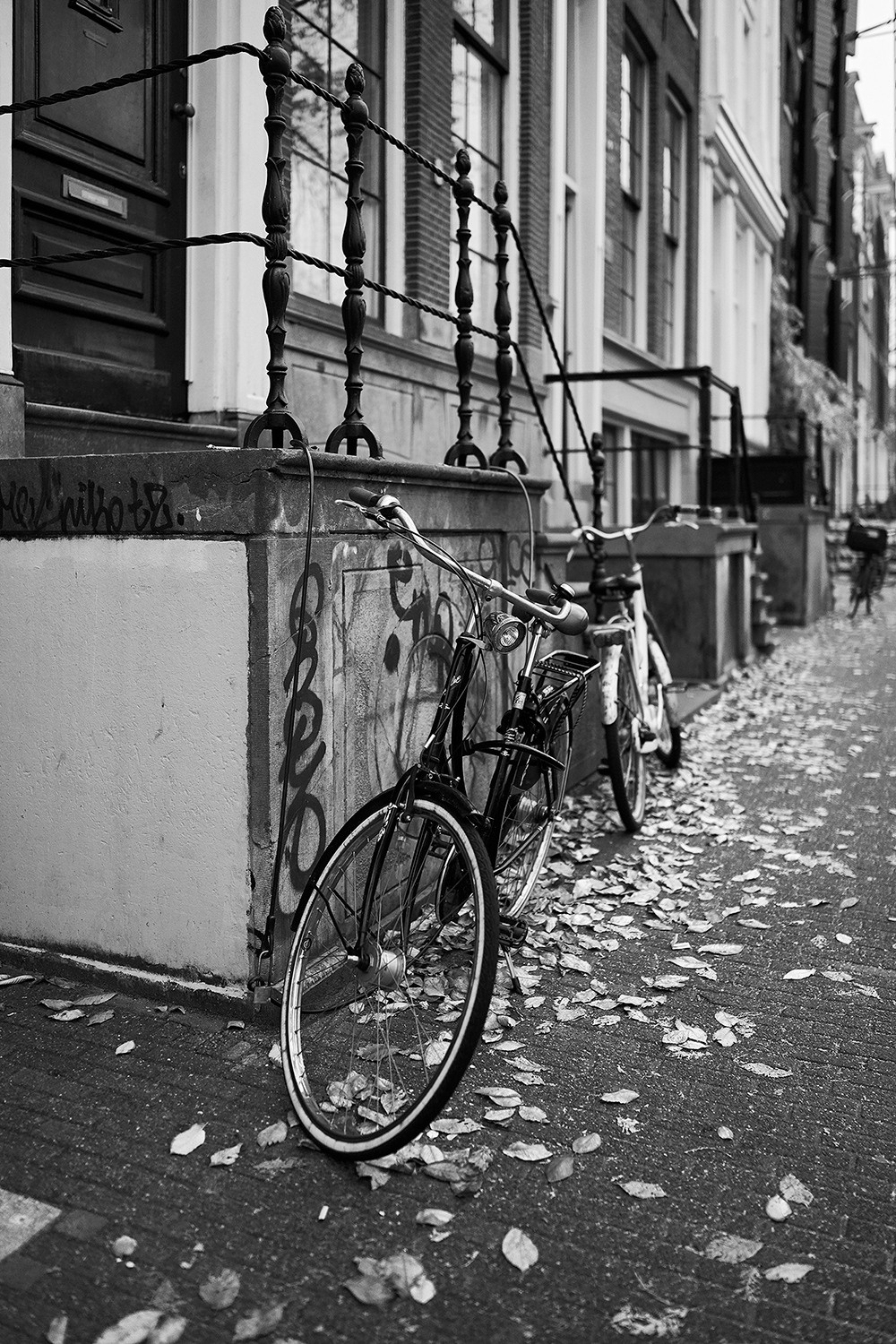 Фотограф Лукшин Александр