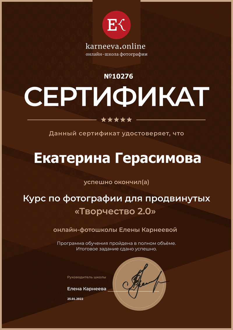 Мои достижения