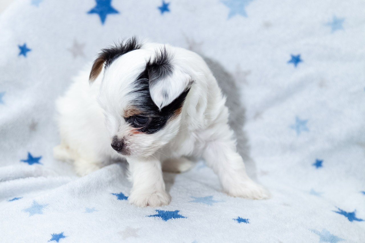 Отзывы. Фотограф Татьяна Воронова, Детские и Семейные фото