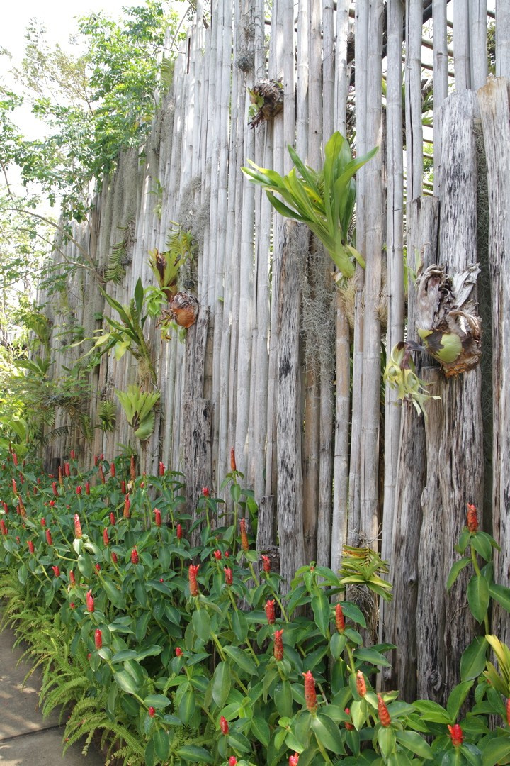 Тайланд 2014 г. Улица, люди, жизнь…