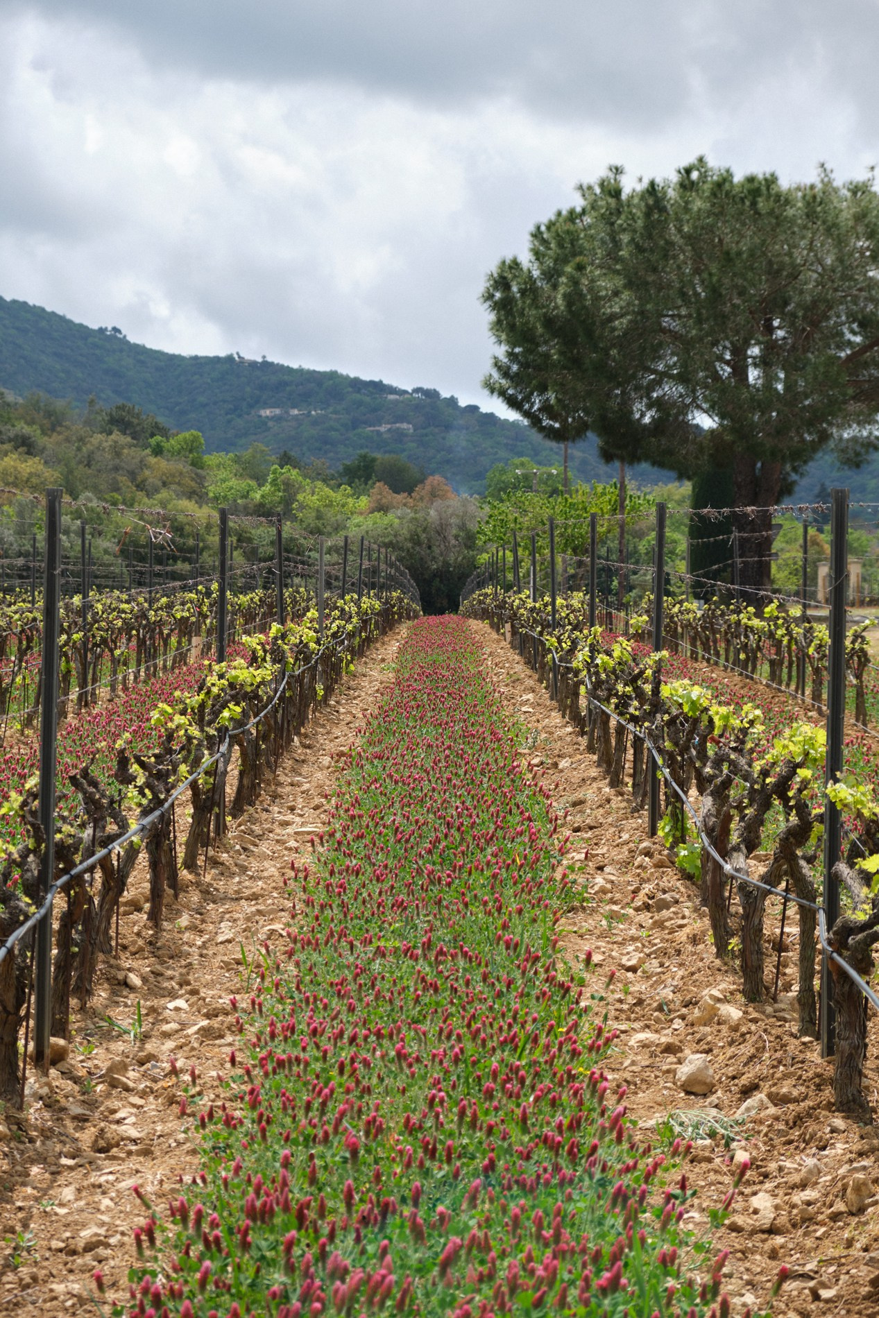 PORTRAITS. Photographer Monaco, Nice, French Riviera