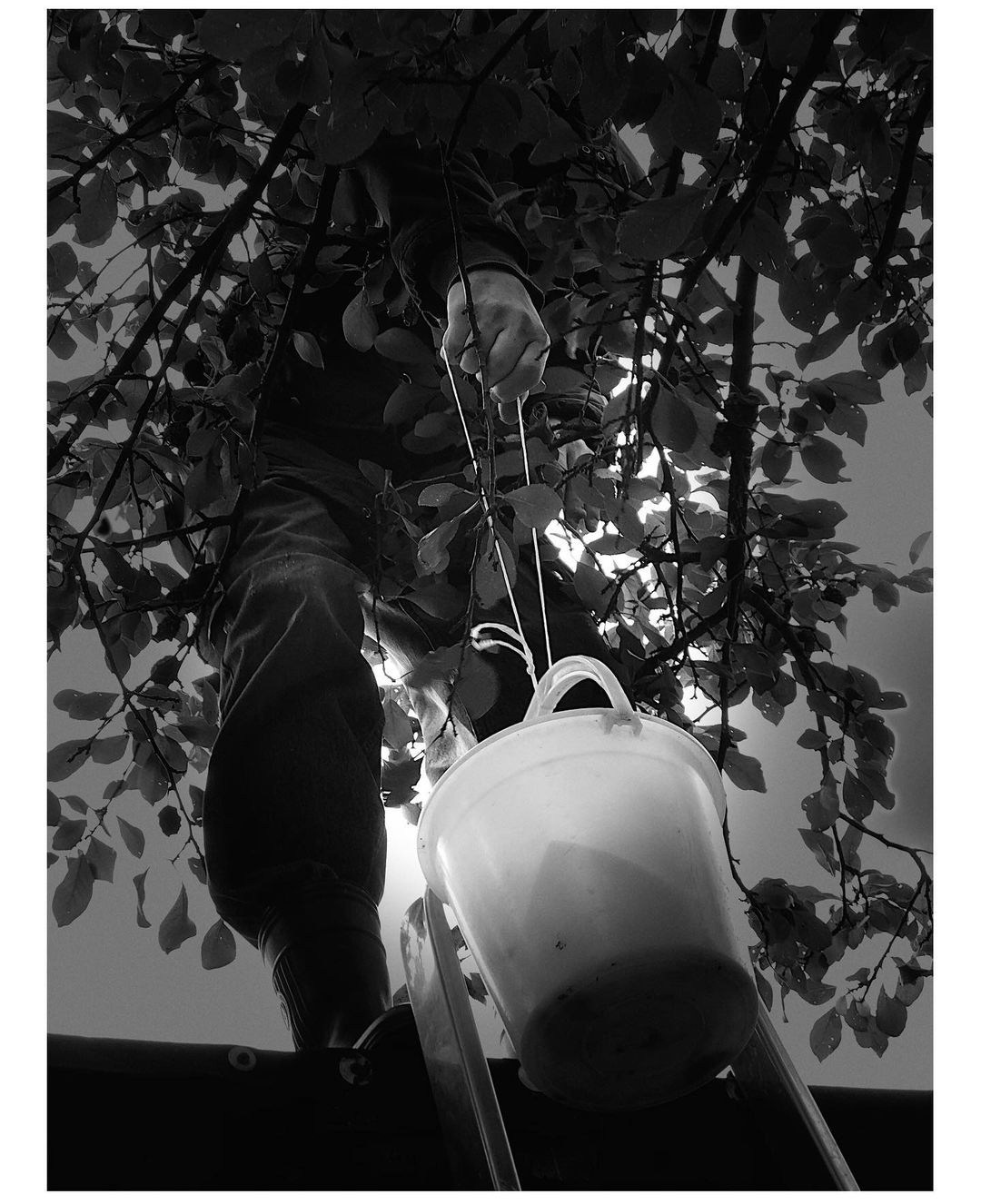 Автор: Екатерина Зиновьева