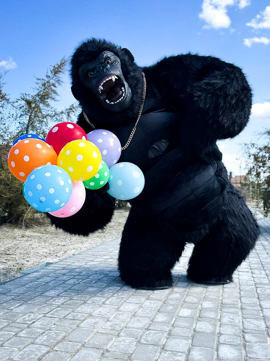 Эксперсс поздравление.ростовые куклы, медведь, панда, горилла. Организатор праздников. Ведущая Марина Гребенникова