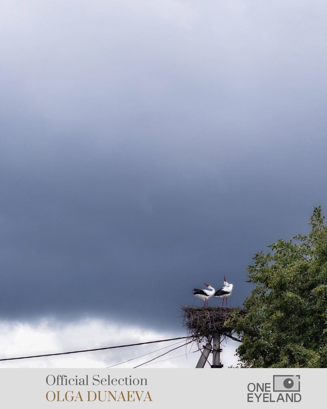Журналы. Фотограф Ольга Дунаева