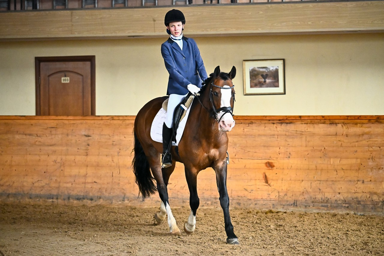 Отзывы. ТУРНИРНАЯ КОННАЯ ФОТОГРАФИЯ, Руднева Ольга и Евгений Адеев