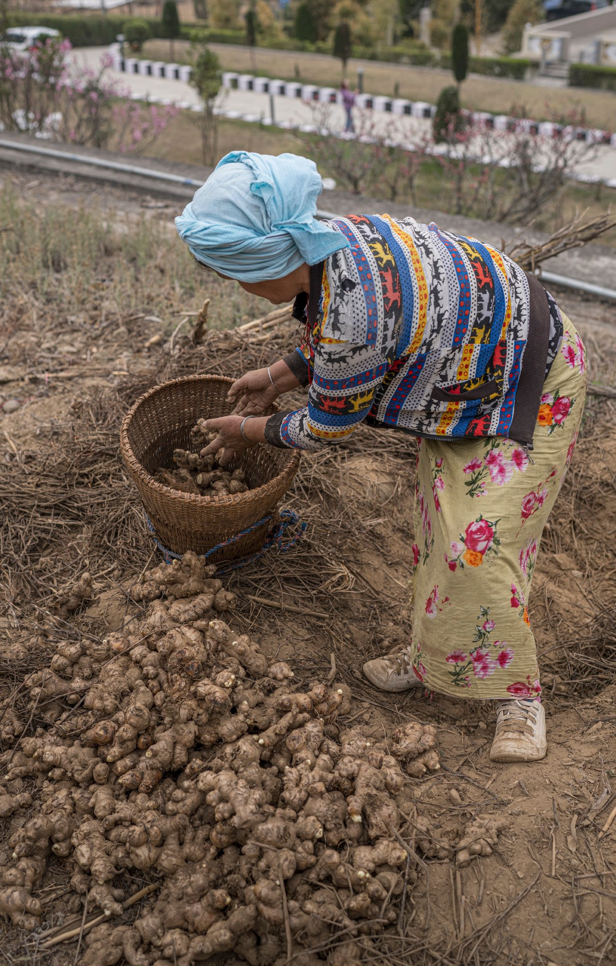 India travel. Фотограф Сергей Танков