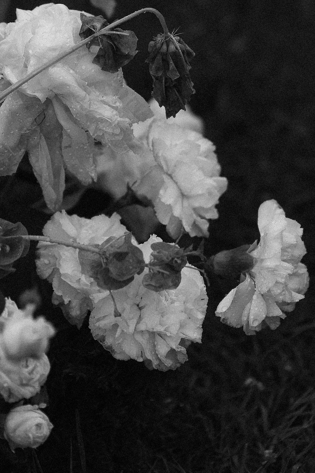 МНЕ С ТОБОЙ ТЕПЛО. Свадебный фотограф в Москве Мария Кривоногова