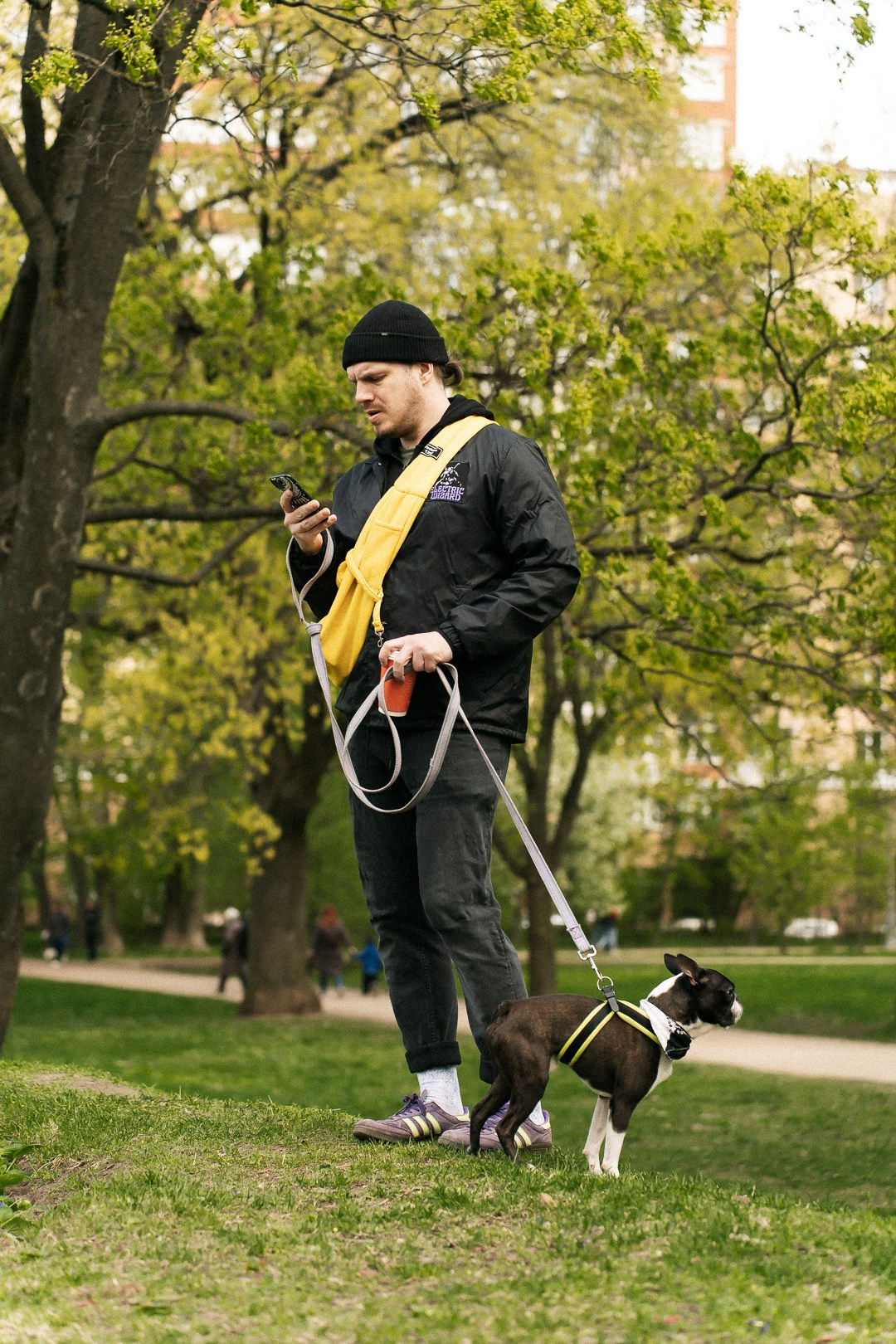 Парад Бульдогов. Axenov_eugene