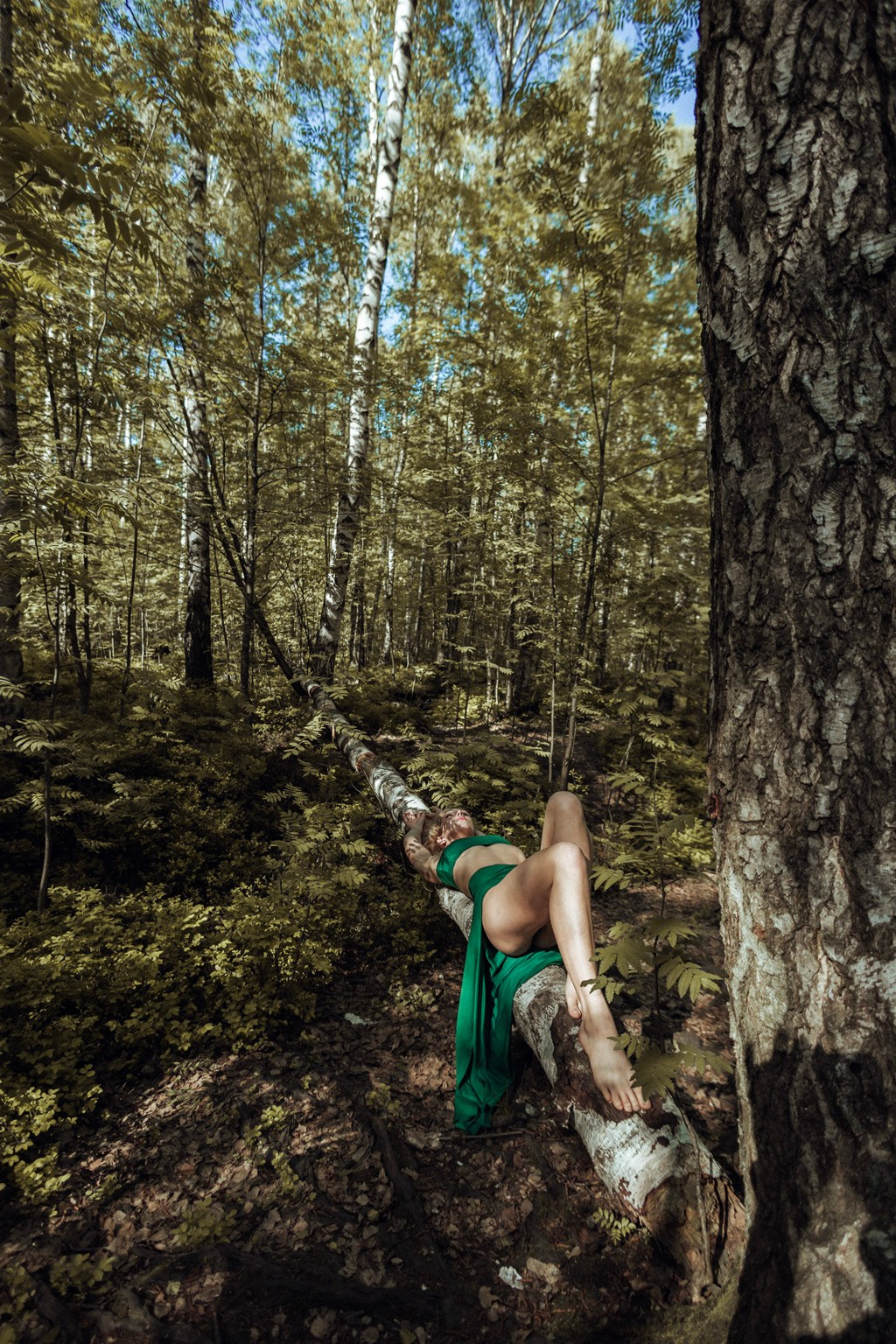 Jungle. Самид Али, фотограф из Санкт-Петербурга, Россия