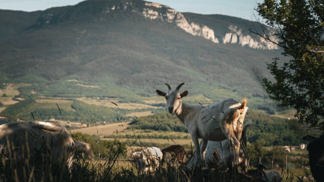 Документалистика. Фотохудожник в Санкт-Петербурге Вурал Мелиса