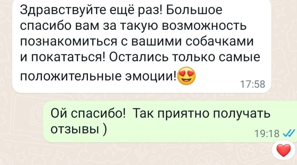 Катание на хаски в Спб