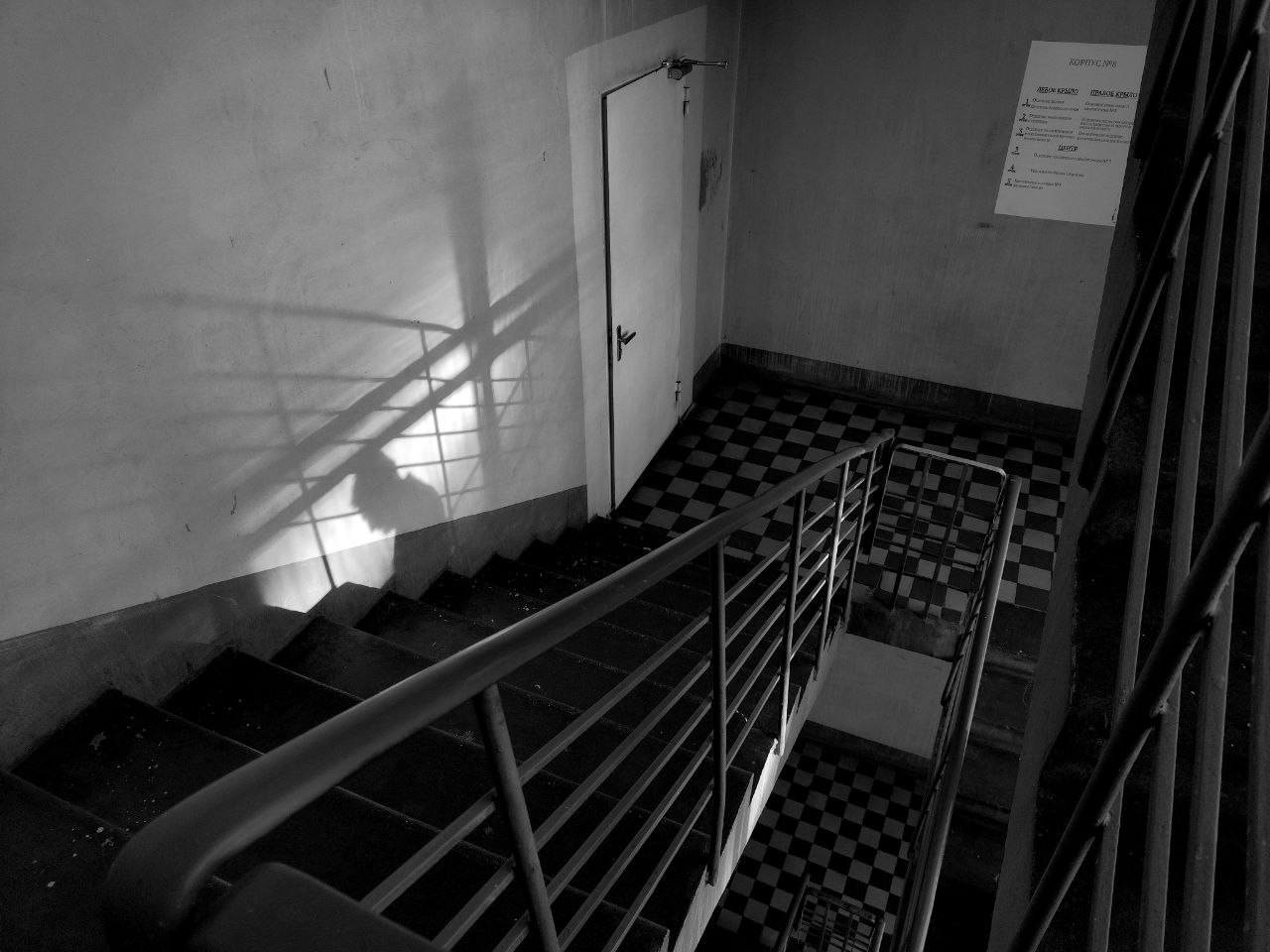 Челлендж «Свет решает все». Лучшие кадры. Женский семейный фотограф Тула Москва Захарова Анна