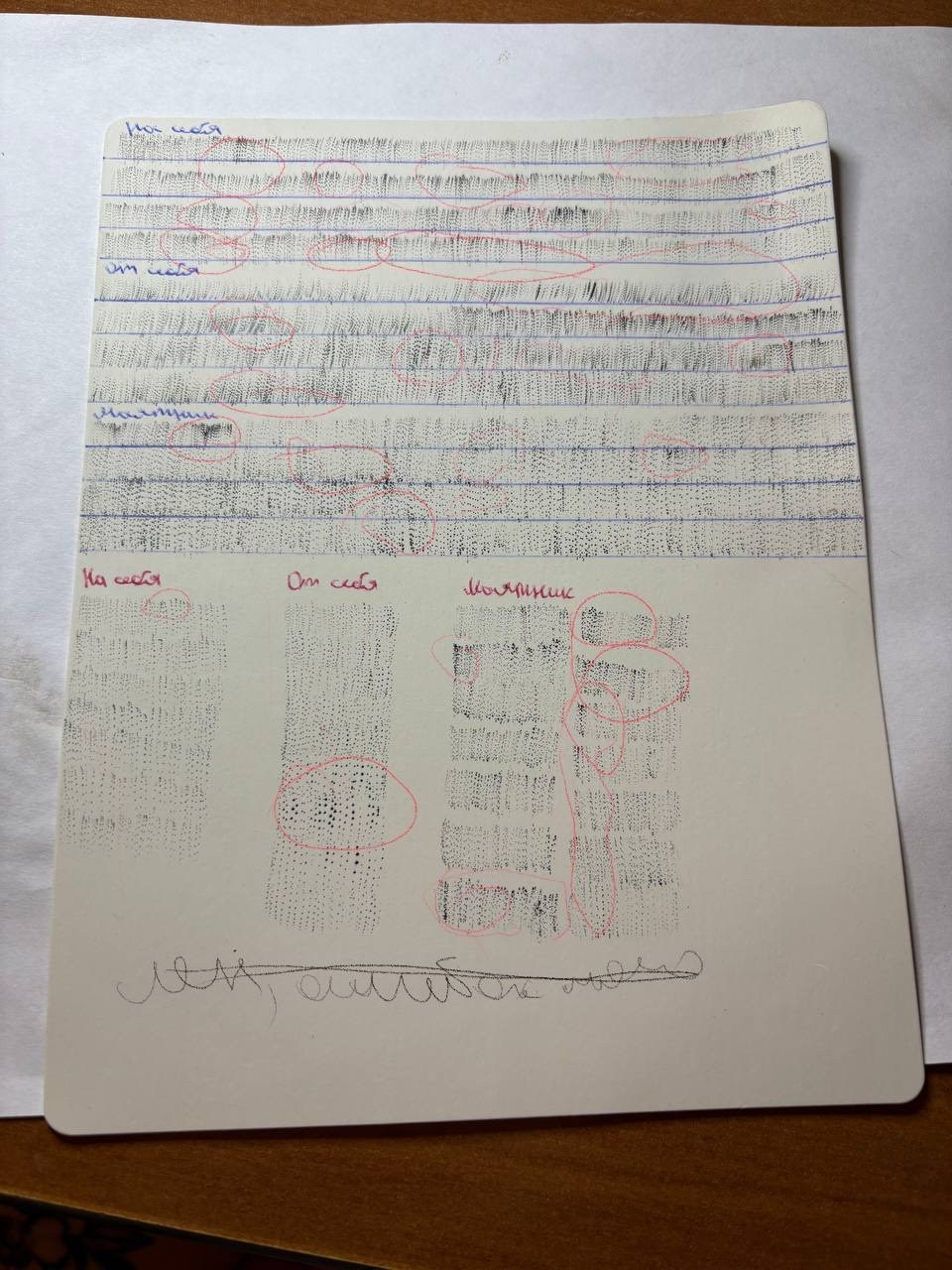 Обучение. Перманент PigmentLab Olga