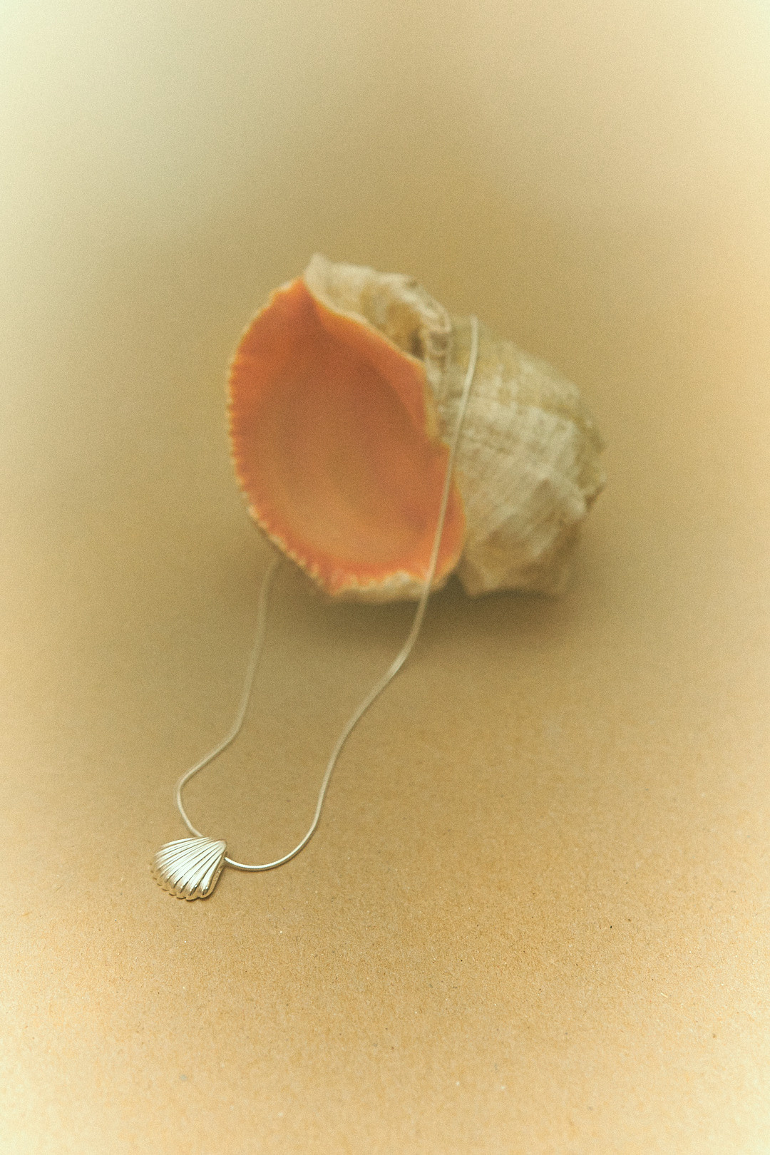 RASSVET DETAIL. Предметный фотограф Москва Глухарёва Оля