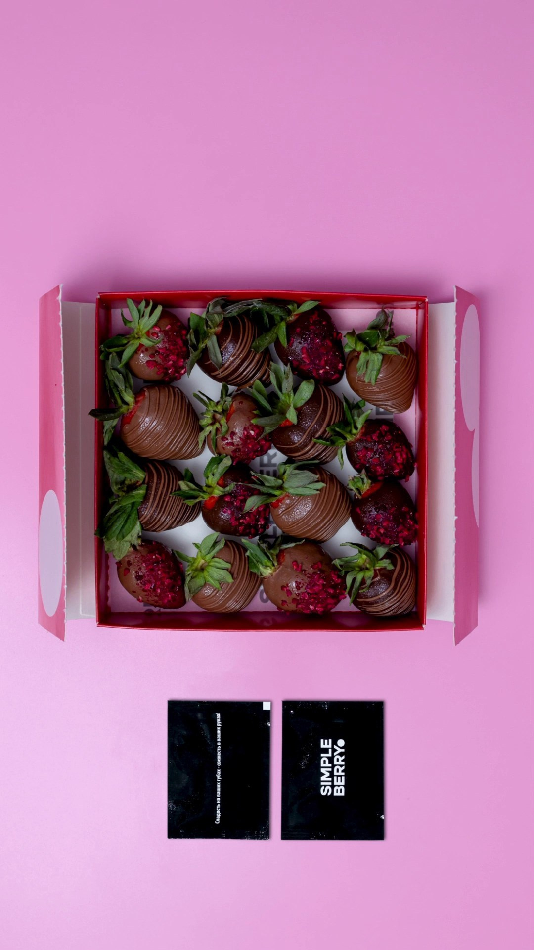 Stop motion анимация. Фотограф и motion аниматор Екатерина Синевич