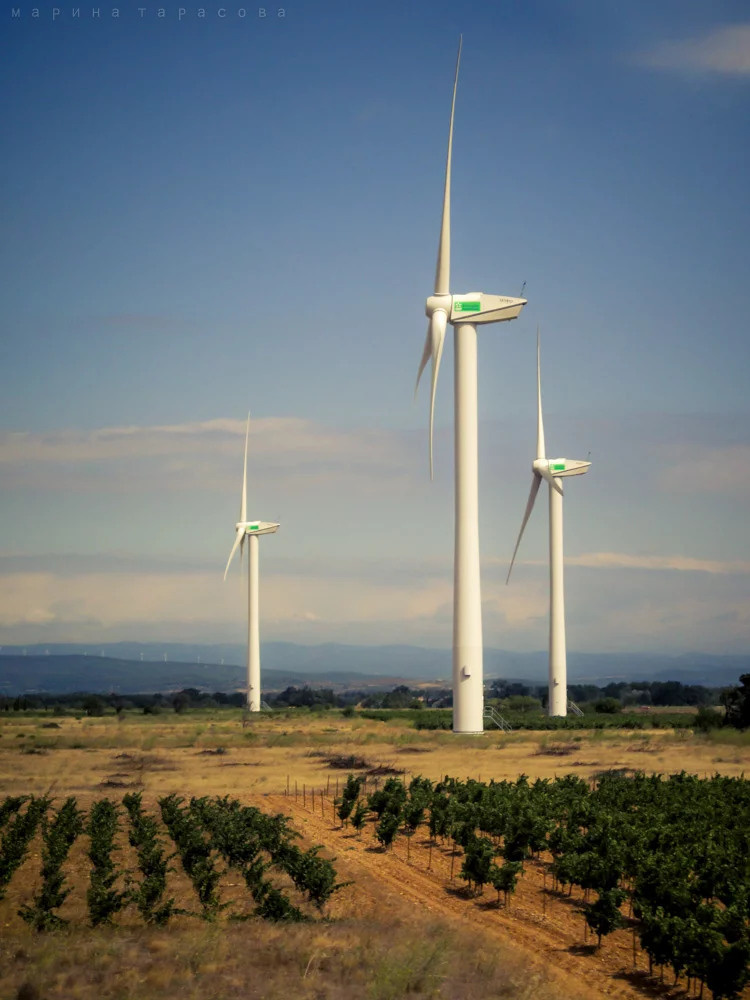 ТревелФото. Фотограф Марина Тарасова