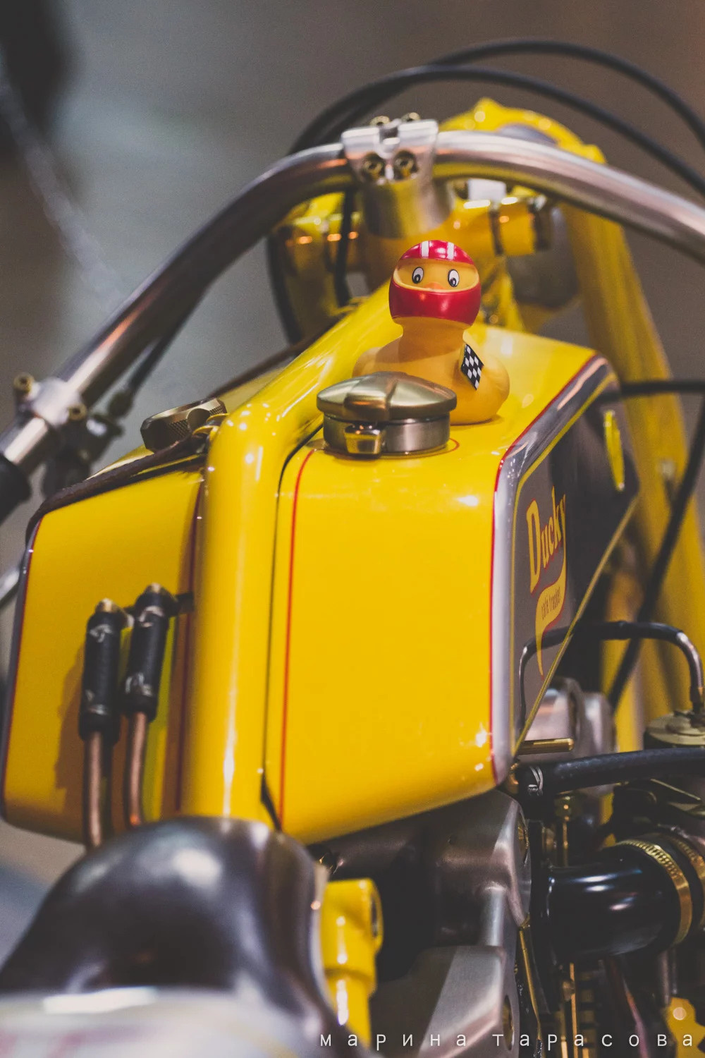 Мото. Фотограф Марина Тарасова
