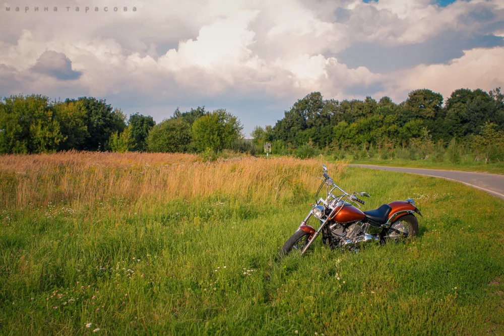 Мото. Фотограф Марина Тарасова