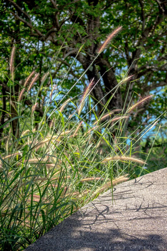 ТревелФото. Фотограф Марина Тарасова