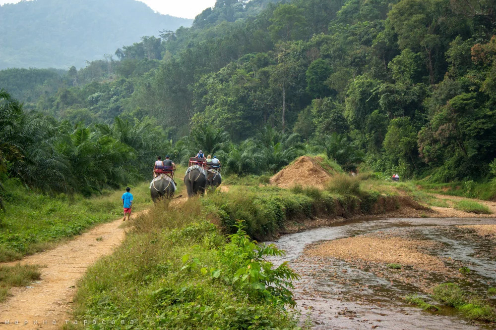 ТревелФото. Фотограф Марина Тарасова