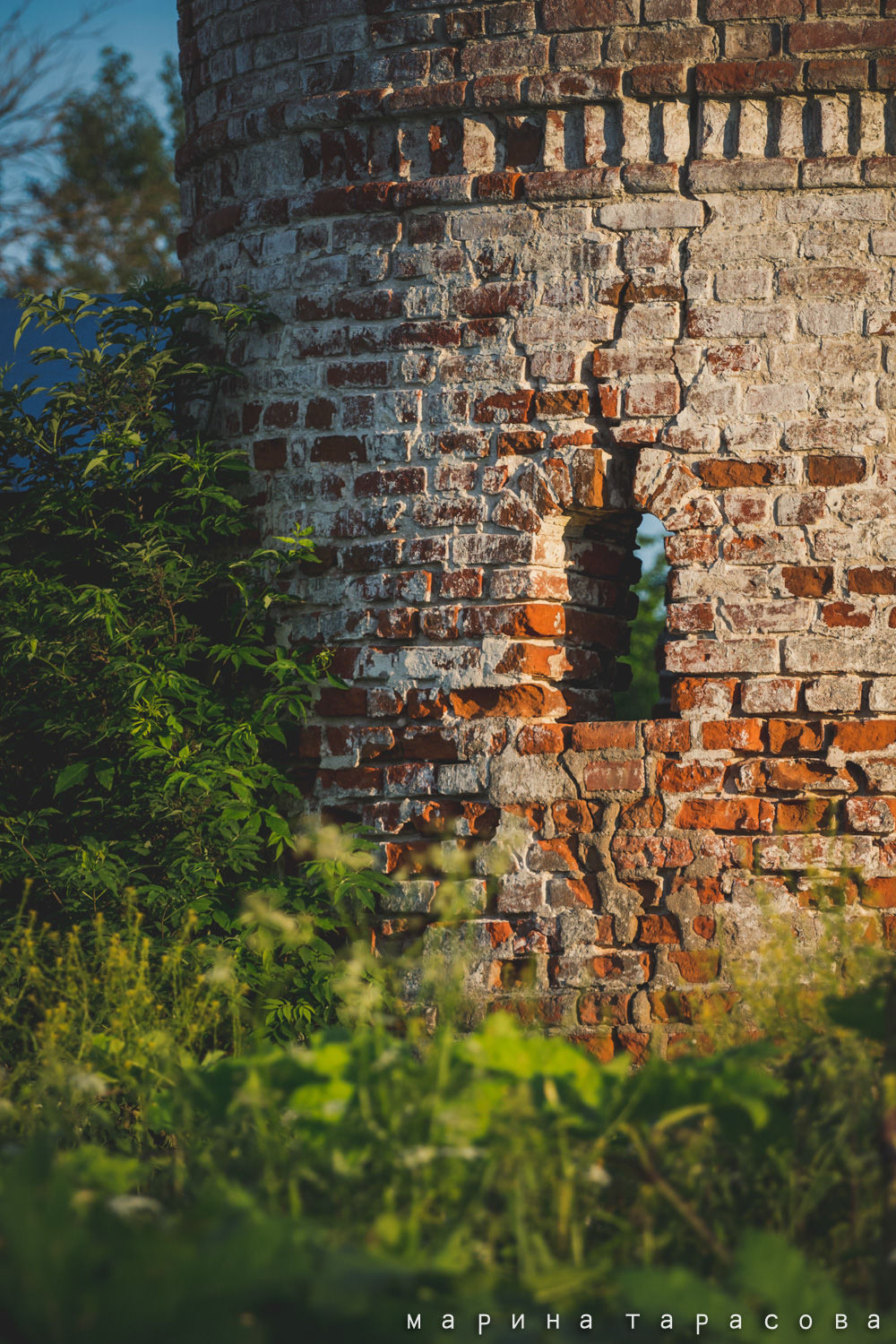 ТревелФото. Фотограф Марина Тарасова