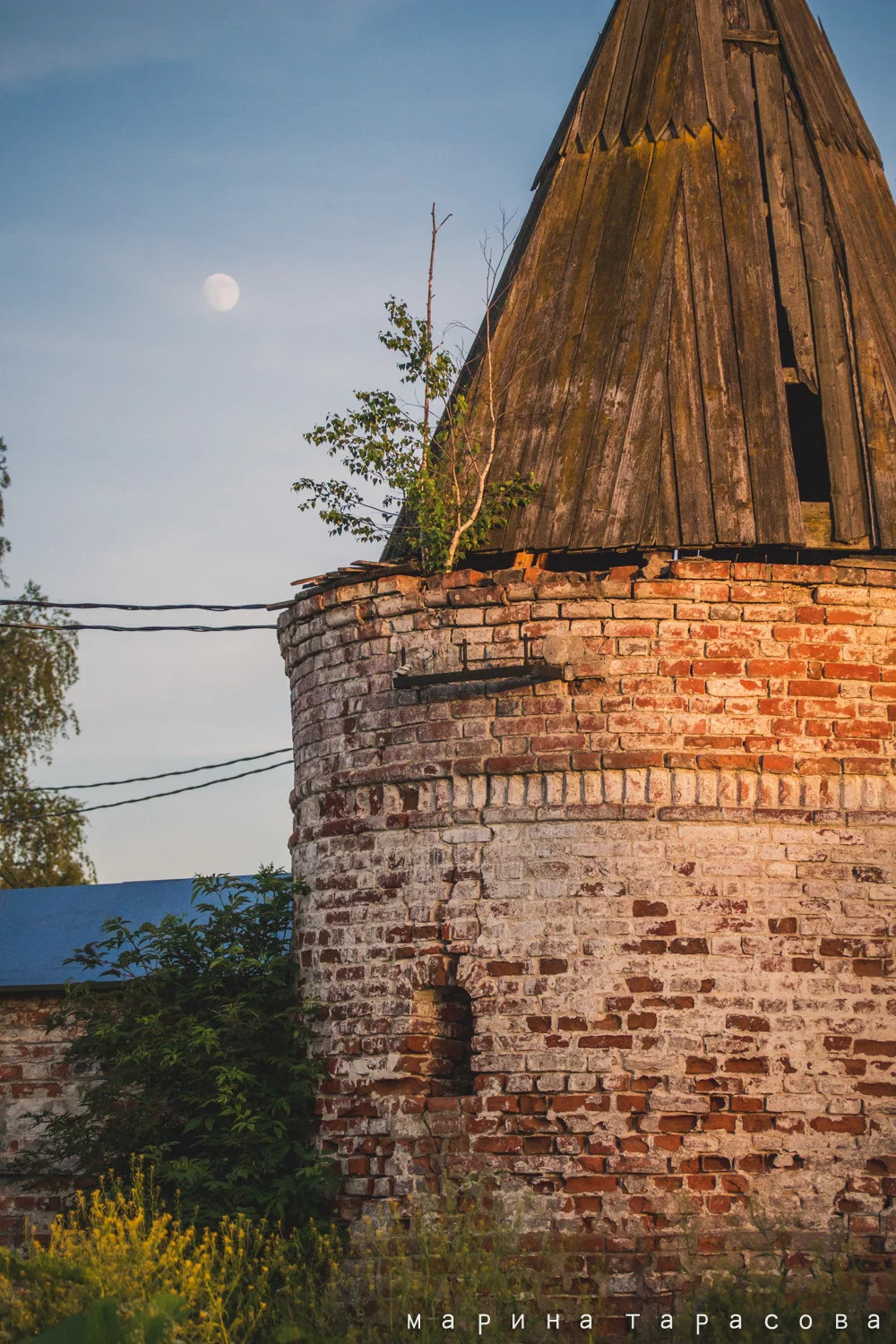 ТревелФото. Фотограф Марина Тарасова