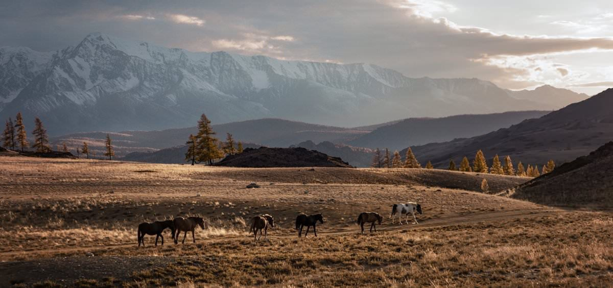 Altai Cinematic. Вадим Щербаков | архитектурный фотограф